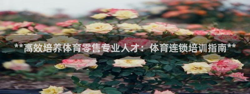 焦点娱乐网站下载地址在哪：**高效培养体育零售专业人