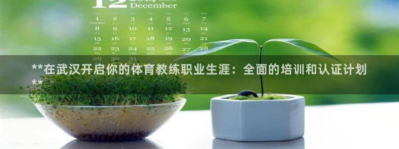 焦点娱乐不出款怎么回事：**在武汉开启你的体育教练职