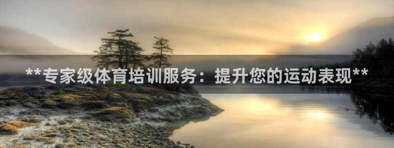 焦点娱乐挂机：**专家级体育培训服务：提升您的运动表