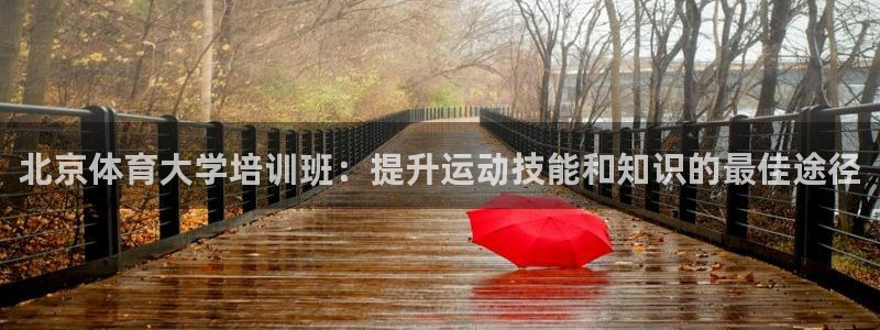焦点娱乐传媒有限公司招聘信息：北京体育大学培训班：提