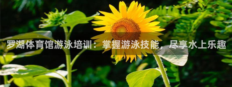 焦点娱乐如何注册账号和密码登录：罗湖体育馆游泳培训：