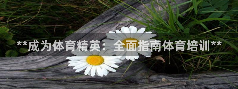 焦点娱乐无法提现怎么回事：**成为体育精英：全面指南