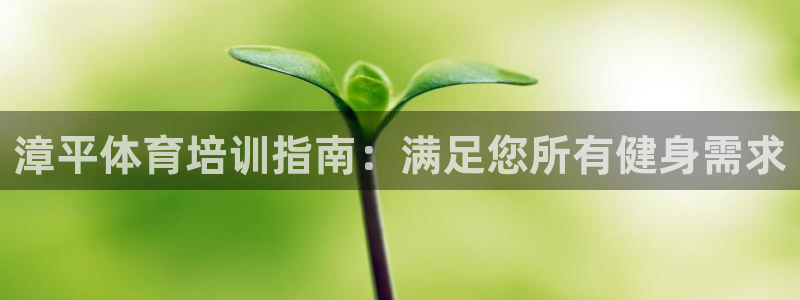 焦点娱乐是哪个公司的产品：漳平体育培训指南：满足您所