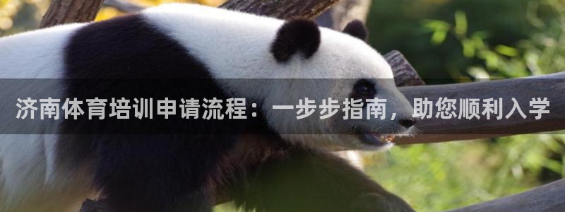 焦点娱乐官方网站下载安装最新版：济南体育培训申请流程