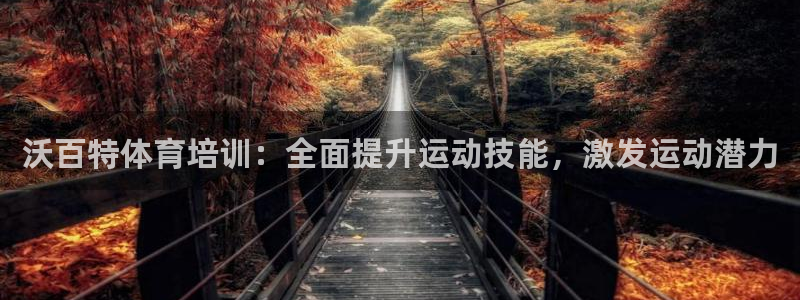 焦点娱乐平台总代理开户怎么样：沃百特体育培训：全面提