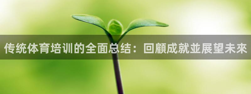 焦点娱乐平台账号在哪注册：传统体育培训的全面总结：回