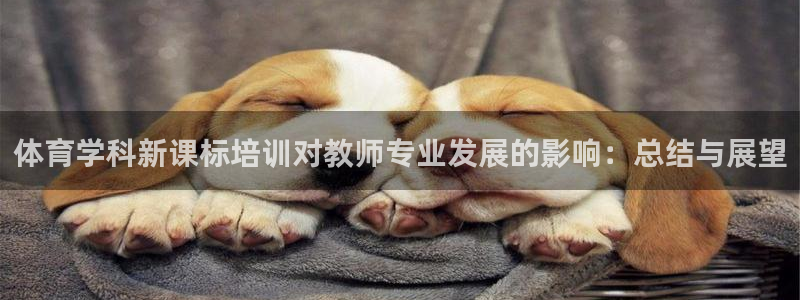 焦点娱乐是什么软件：体育学科新课标培训对教师专业发展