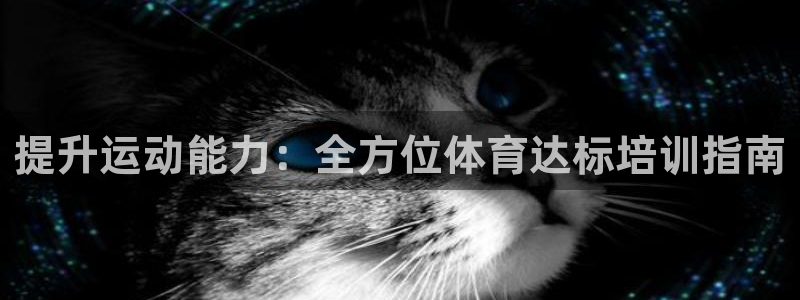 焦点娱乐平台总代理开户怎么样：提升运动能力：全方位体