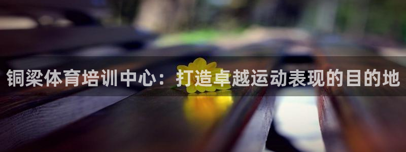 焦点娱乐跨服怎么玩：铜梁体育培训中心：打造卓越运动表