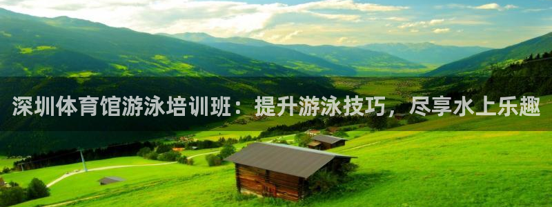 焦点娱乐软件版本：深圳体育馆游泳培训班：提升游泳技巧