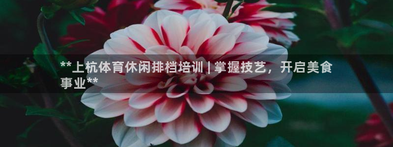 焦点娱乐传媒有限公司怎么样啊赚钱吗：**上杭体育休闲