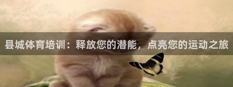 焦点娱乐平台主管