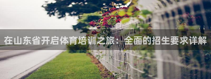 焦点娱乐平台总代理开户怎么样