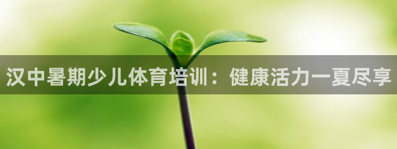 焦点娱乐游戏：汉中暑期少儿体育培训：健康活力一夏尽享
