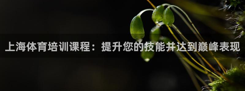 焦点娱乐软件版本区别：上海体育培训课程：提升您的技能