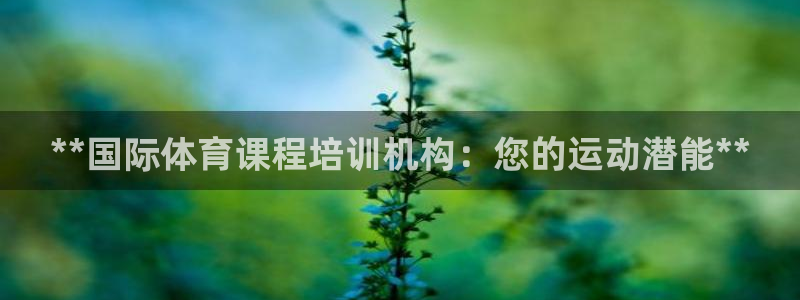 焦点娱乐家 5O6917 焦点：**国际体育课程培训
