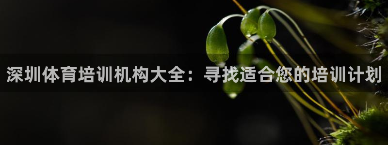 焦点娱乐不出款怎么回事：深圳体育培训机构大全：寻找适