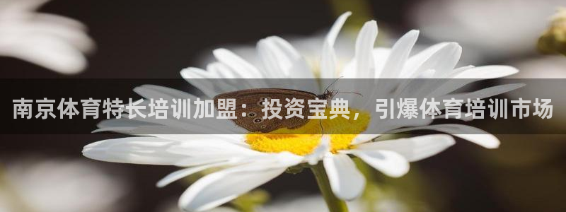 焦点娱乐平台注册账号安全吗知乎：南京体育特长培训加盟