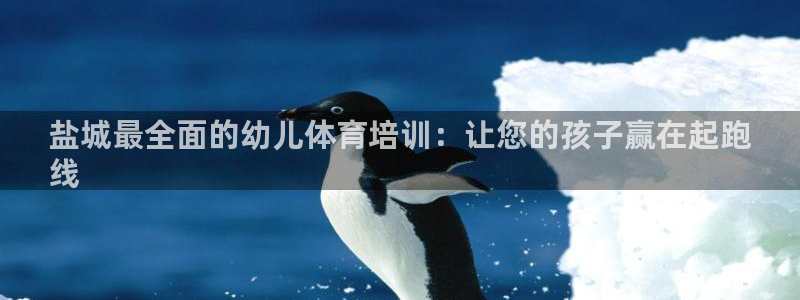 焦点娱乐游戏怎么玩教程：盐城最全面的幼儿体育培训：让