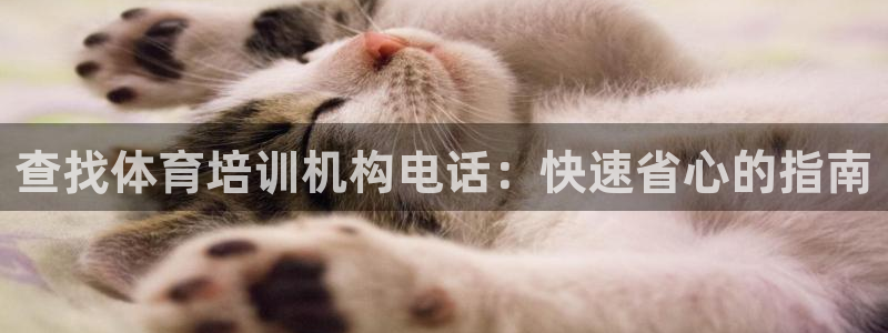 焦点娱乐平台注册账号安全吗可靠吗：查找体育培训机构电