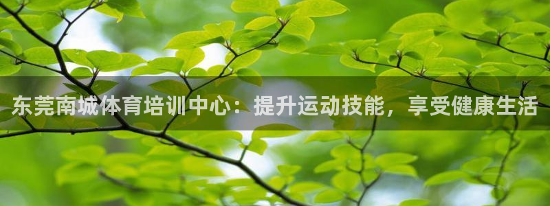 焦点娱乐平台客服电话：东莞南城体育培训中心：提升运动