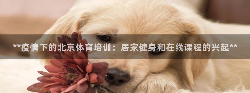 焦点娱乐软件版本区别：**疫情下的北京体育培训：居家