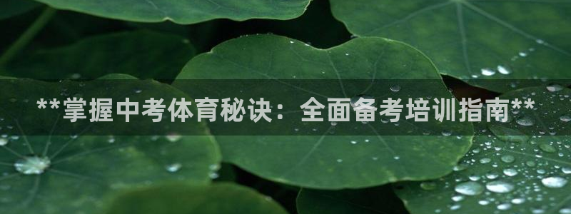 焦点娱乐总代理：**掌握中考体育秘诀：全面备考培训指
