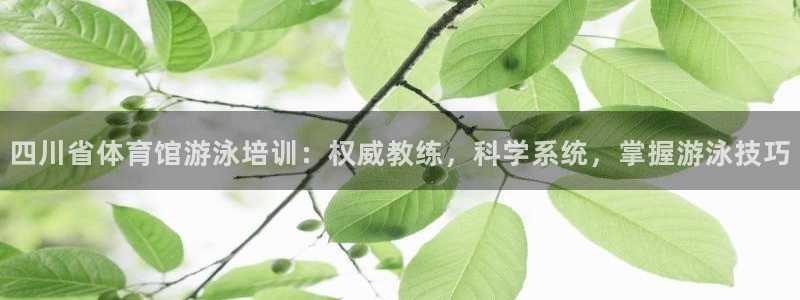 焦点娱乐平台注册账号是什么意思：四川省体育馆游泳培训