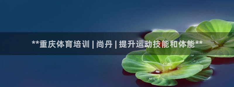 焦点娱乐软件版本下载：**重庆体育培训 | 尚丹 |