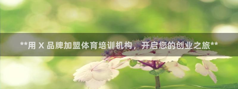 焦点娱乐是拉菲公司的吗是真的吗：**用 X 品牌加盟