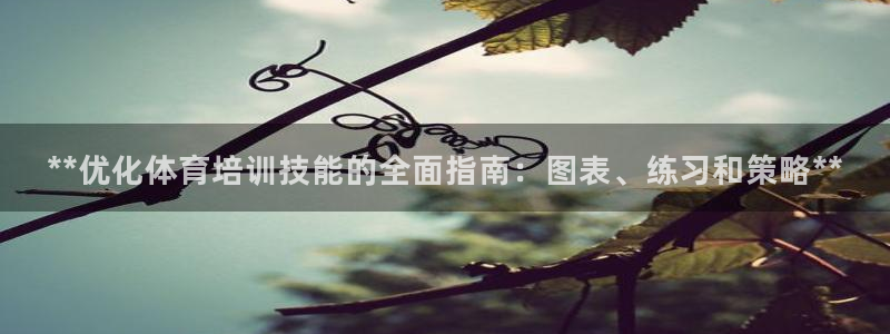 焦点娱乐可以解封银行卡吗是真的吗：**优化体育培训技
