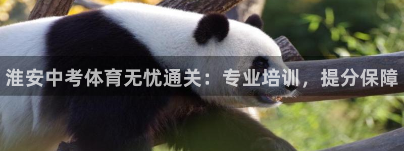 焦点娱乐不出款怎么回事：淮安中考体育无忧通关：专业培