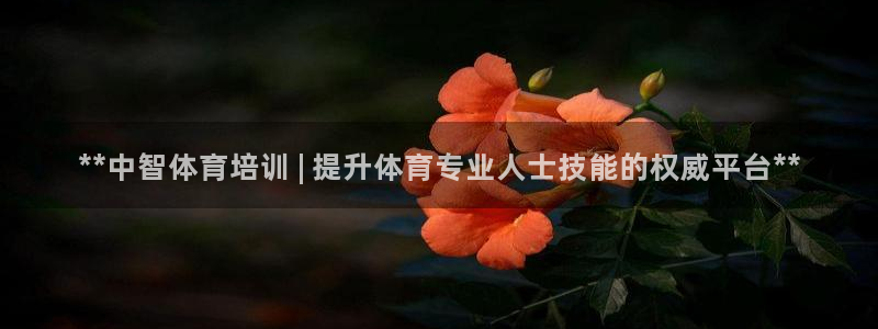 焦点娱乐公司是干嘛的：**中智体育培训 | 提升体育