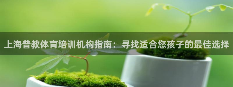 焦点娱乐官网下载安装：上海普教体育培训机构指南：寻找
