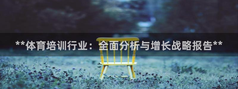焦点娱乐待遇：**体育培训行业：全面分析与增长战略报