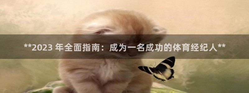 焦点娱乐平台业7O777：**2023 年全面指南：