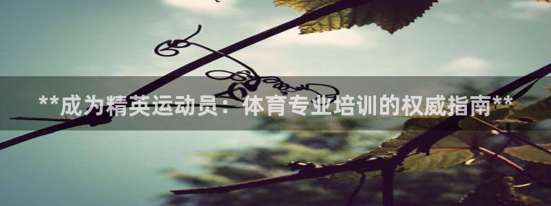 焦点娱乐平台斯7O777：**成为精英运动员：体育专