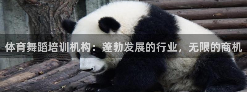 焦点娱乐官方网站下载：体育舞蹈培训机构：蓬勃发展的行