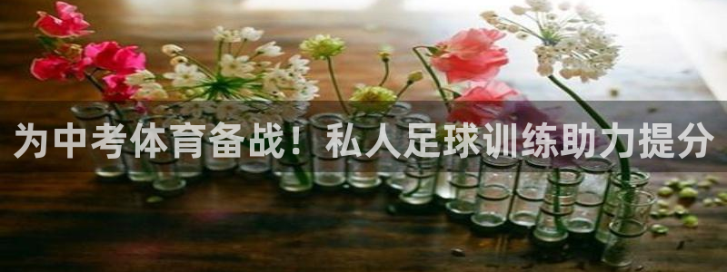 焦点娱乐加速器：为中考体育备战！私人足球训练助力提分