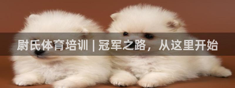 焦点娱乐官方网站下载：尉氏体育培训 | 冠军之路，从