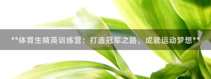 焦点娱乐平台客服电话号码是多少：**体育生精英训练营
