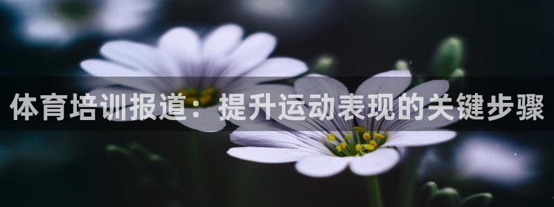 焦点娱乐传媒有限公司官网电话：体育培训报道：提升运动