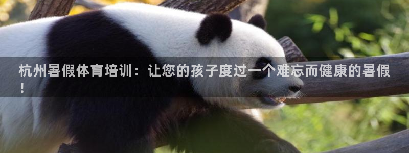 焦点娱乐平台登录不了怎么办：杭州暑假体育培训：让您的