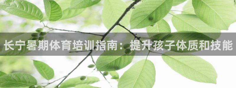 焦点娱乐官方网站下载安装：长宁暑期体育培训指南：提升