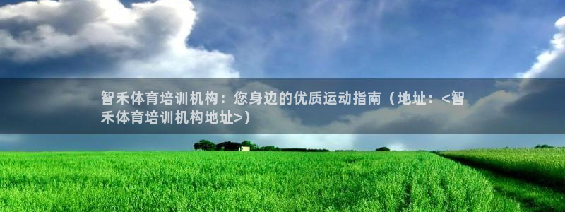 焦点娱乐佳 411O31 焦点：智禾体育培训机构：您