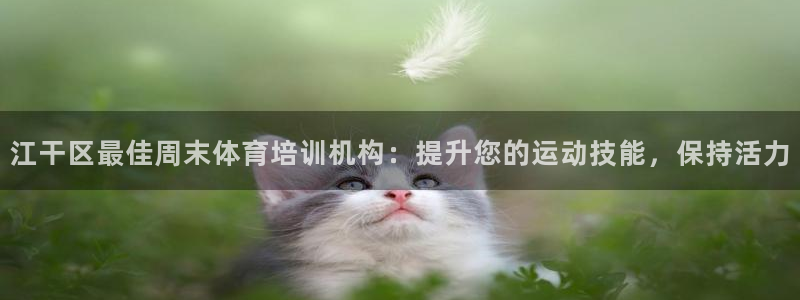 焦点娱乐公司是干嘛的