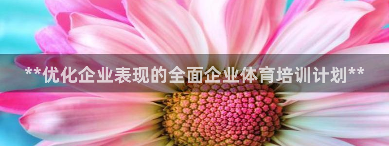 焦点娱乐传媒有限公司招聘信息：**优化企业表现的全面