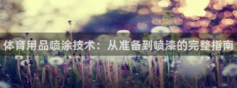焦点娱乐软件版本：体育用品喷涂技术：从准备到喷漆的完
