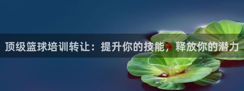 焦点娱乐怎么找导师：顶级篮球培训转让：提升你的技能，