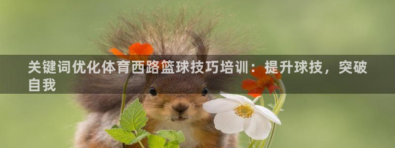 焦点娱乐平台注册账号是什么意思：关键词优化体育西路篮